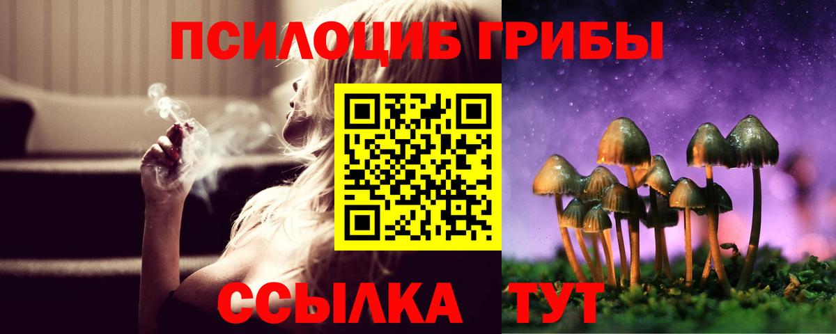 Галлюциногенные грибы Psilocybine cubensis Серов
