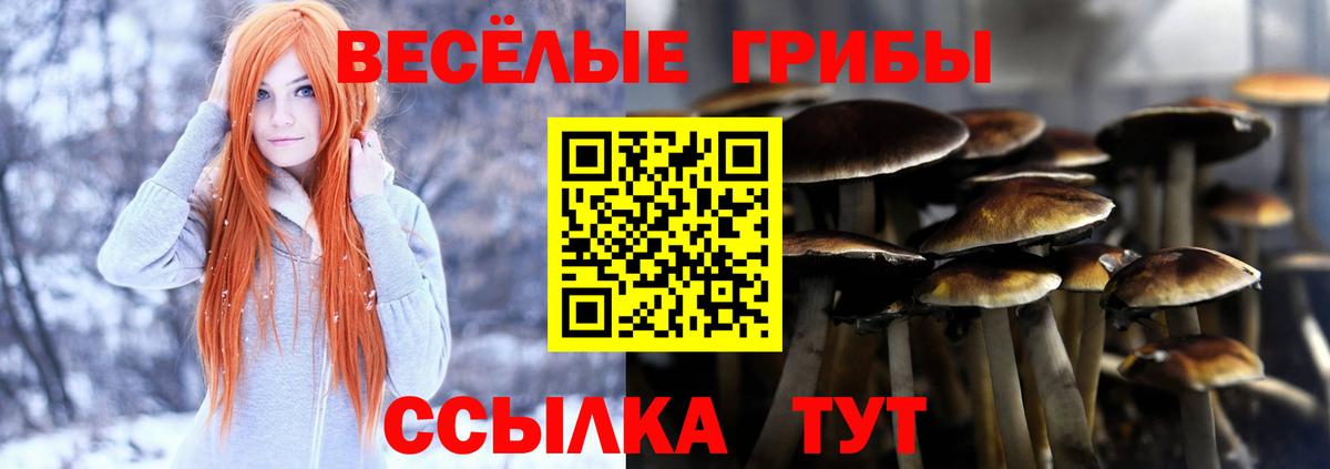 Серов  Галлюциногенные грибы Magic Shrooms  Псилоцибиновые грибы Psilocybe  Вход с VPN 